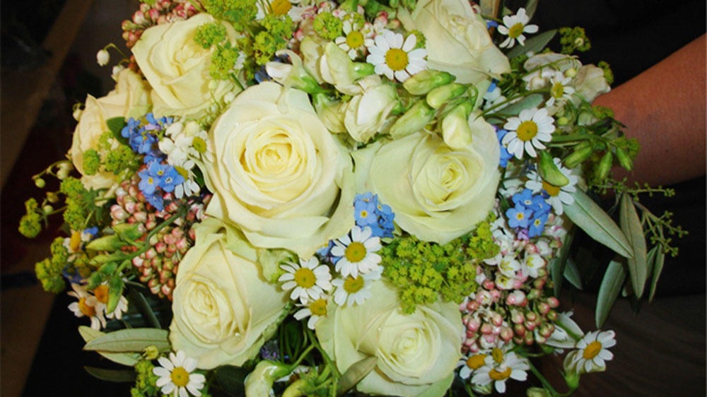Bild 4 von Blumen Schonsky
