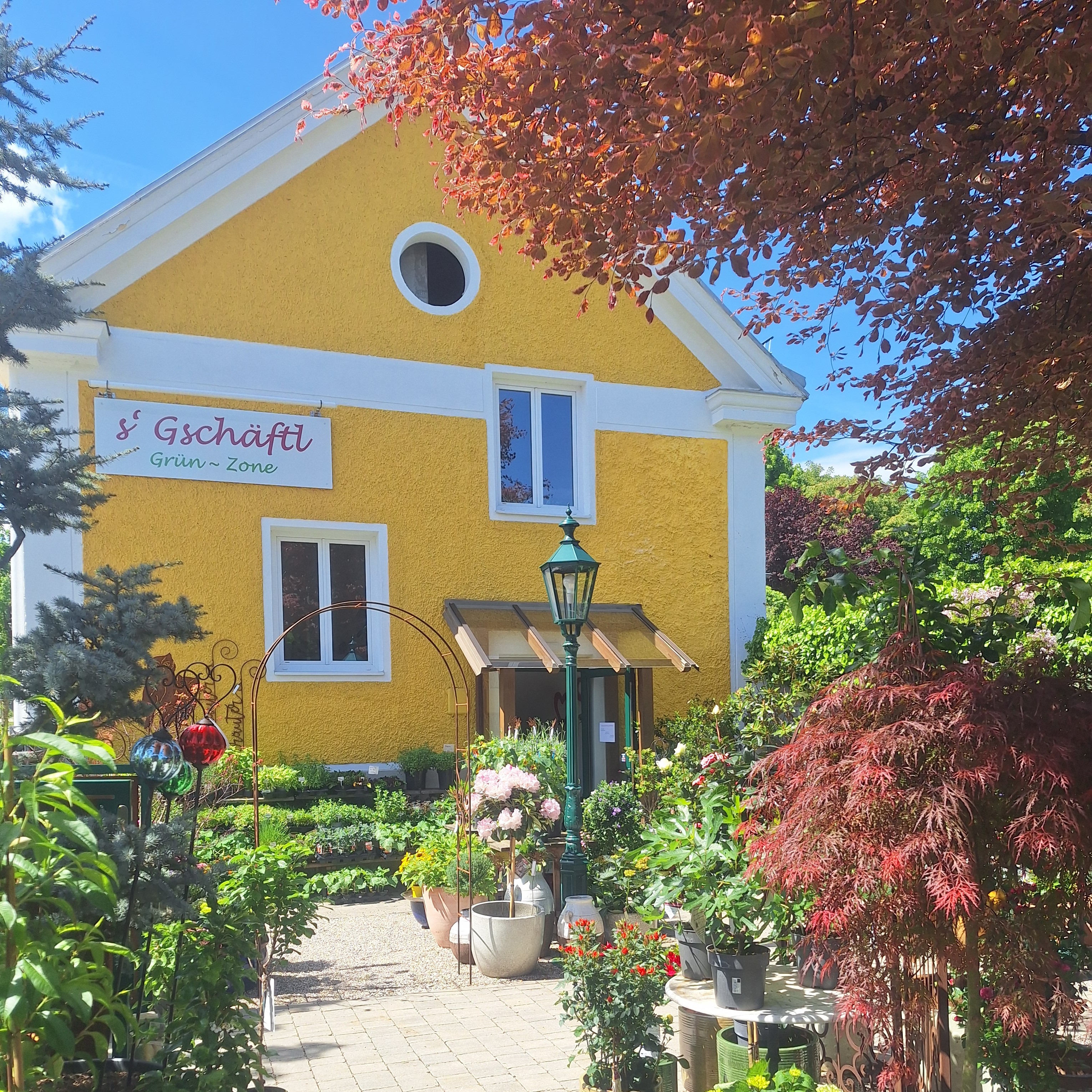 Bild 68 von Grün-Zone