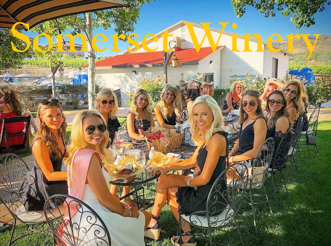 Temecula Bridal Shower Wine Tours