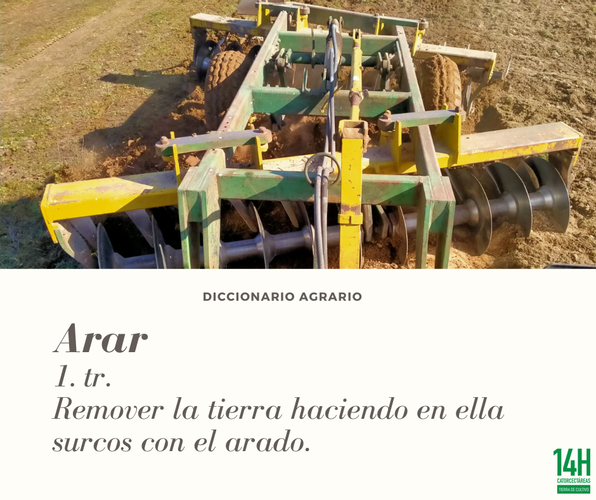 Images Catorcectáreas