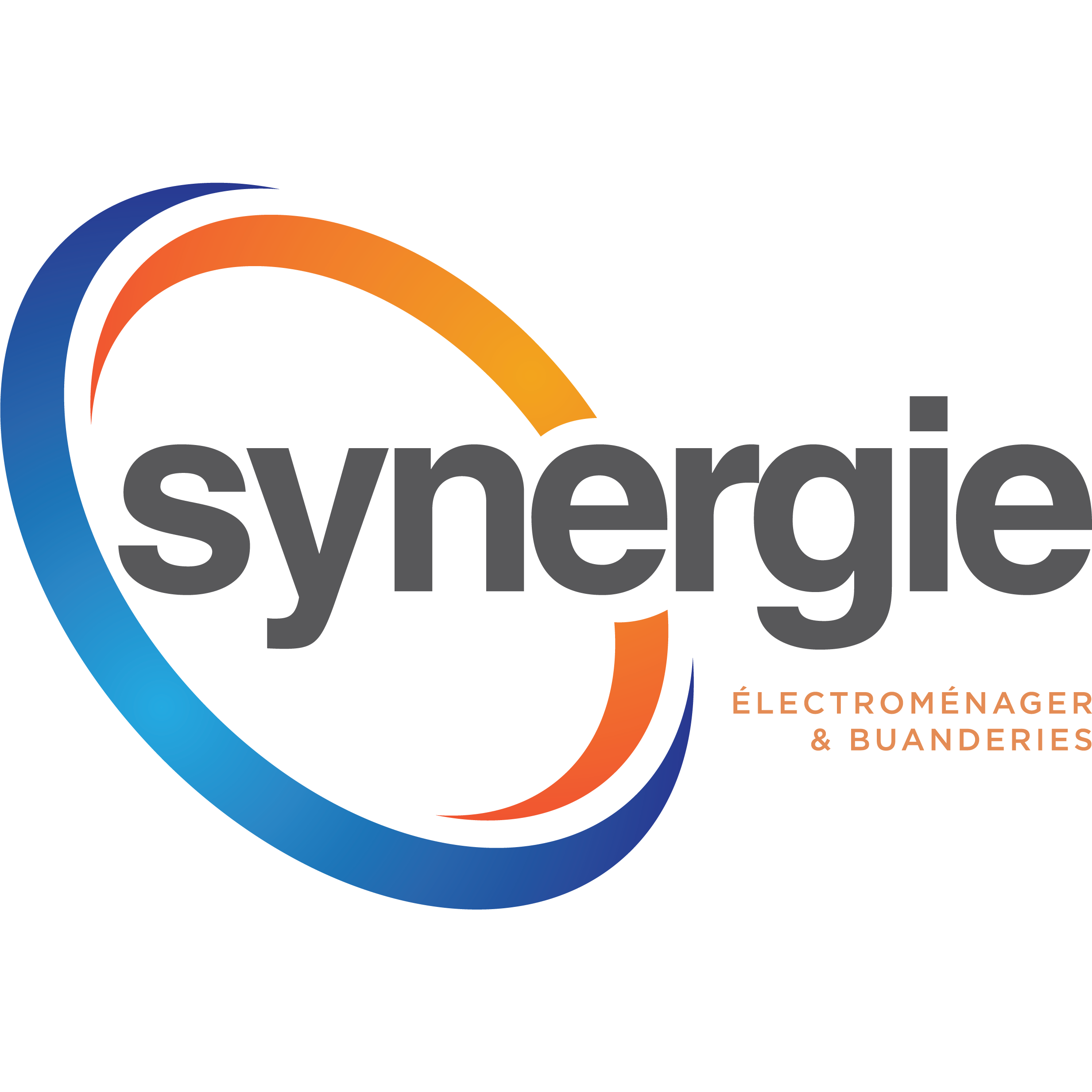 Synergie Services SA Logo
