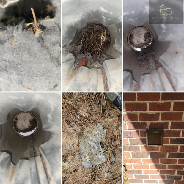 Images Dynasty Ducts