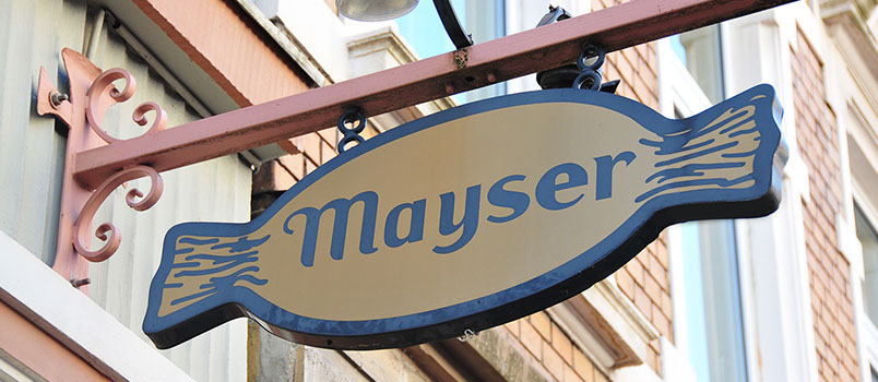 Bilder Mayser GmbH