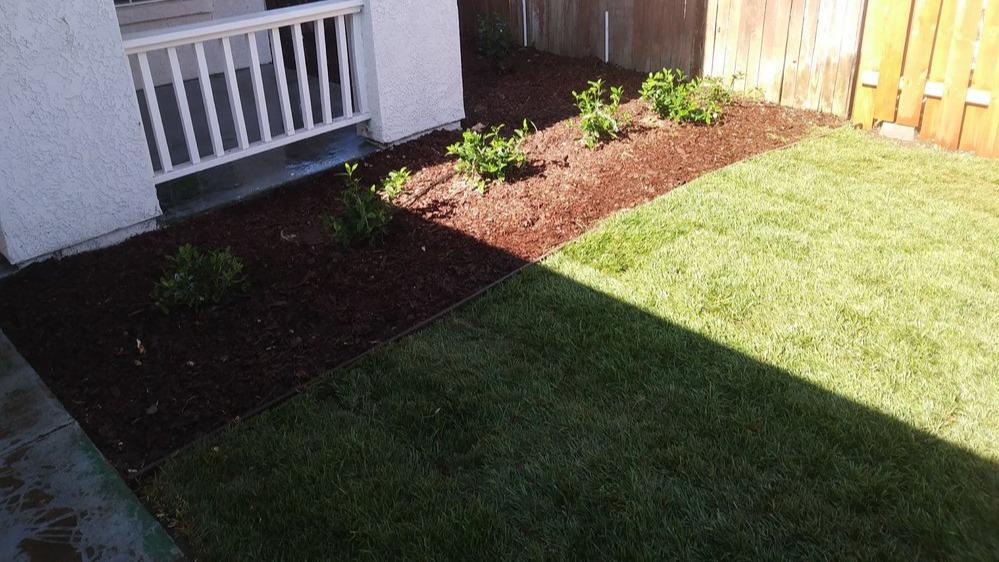 At 5 Star Gardening, we understand the importance of maintaining a beautiful lawn without breaking the bank. That's why we offer affordable lawn care services that deliver exceptional results. With transparent pricing and cost-effective solutions, we make it easy for homeowners to enjoy a well-manicured lawn within their budget.