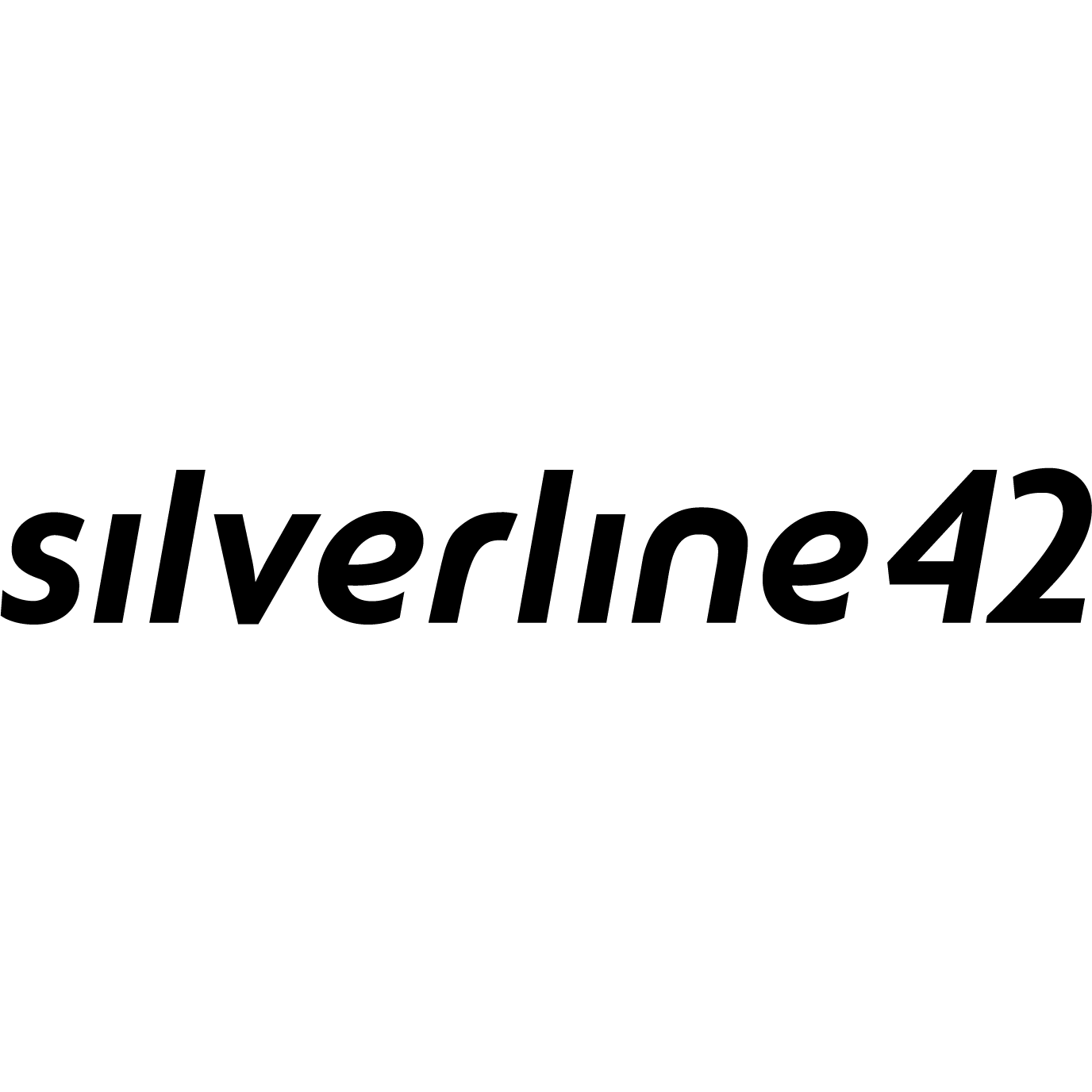 silverline42 gmbh Logo