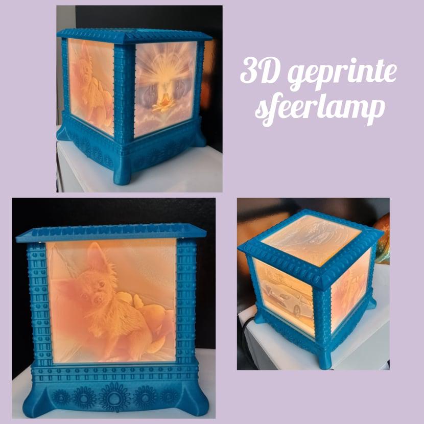 Miniature de la galerie