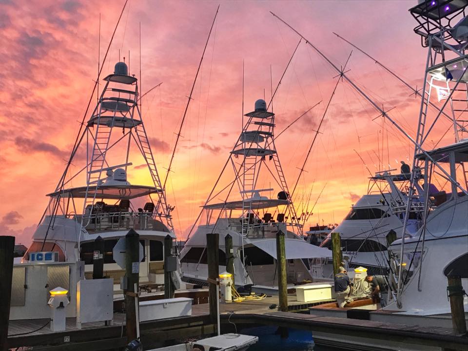 Conch Harbor Marina Image