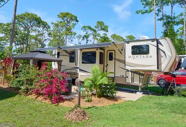 Images Encore Royal Coachman