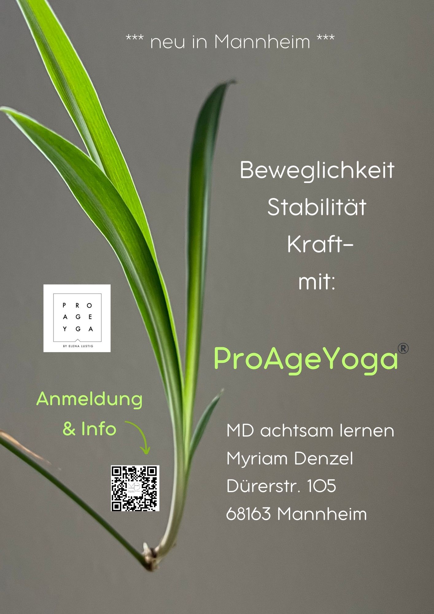 Bilder MD achtsam lernen