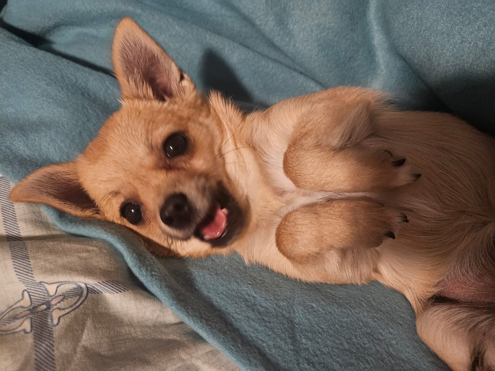 Bild 5 von Martina's Seelen Duft