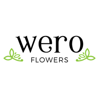 Bild zu Wero flowers GmbH in Duisburg