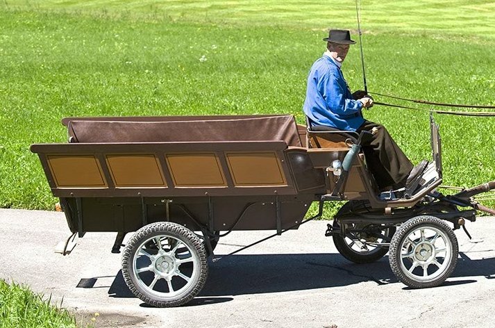 Kutscherei Reichenbach, Lauenenstrasse 56 in Lauenen b. Gstaad