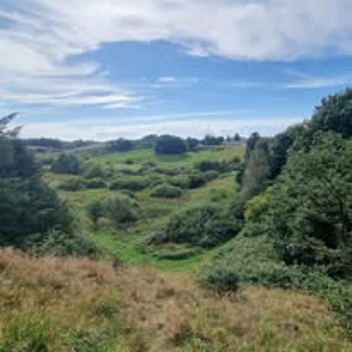 Images Peter Hoe Ejendomme