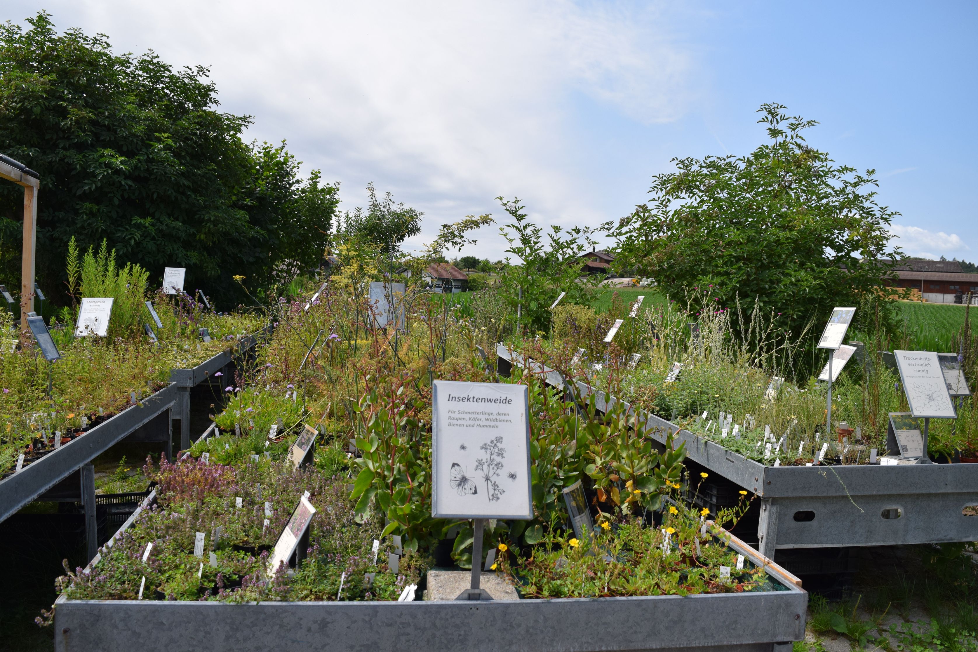 Bilder Wildpflanzengärtnerei Flora di Berna
