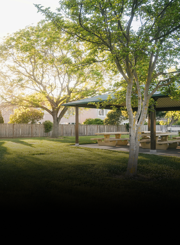 A beautiful park with a picnic tables.