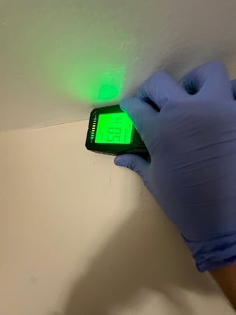 Images 24H Mold Inspection of Corona