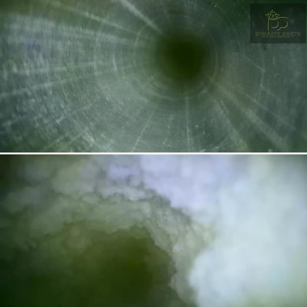 Images Dynasty Ducts