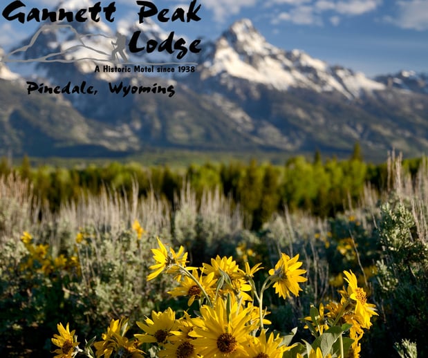 Images Gannett Peak Lodge