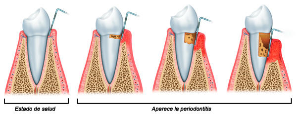Fotos de Dentamia. Clínica Dental