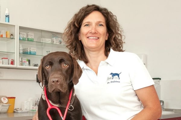 Bilder VetCare Holzkirchen Kleintierpraxis