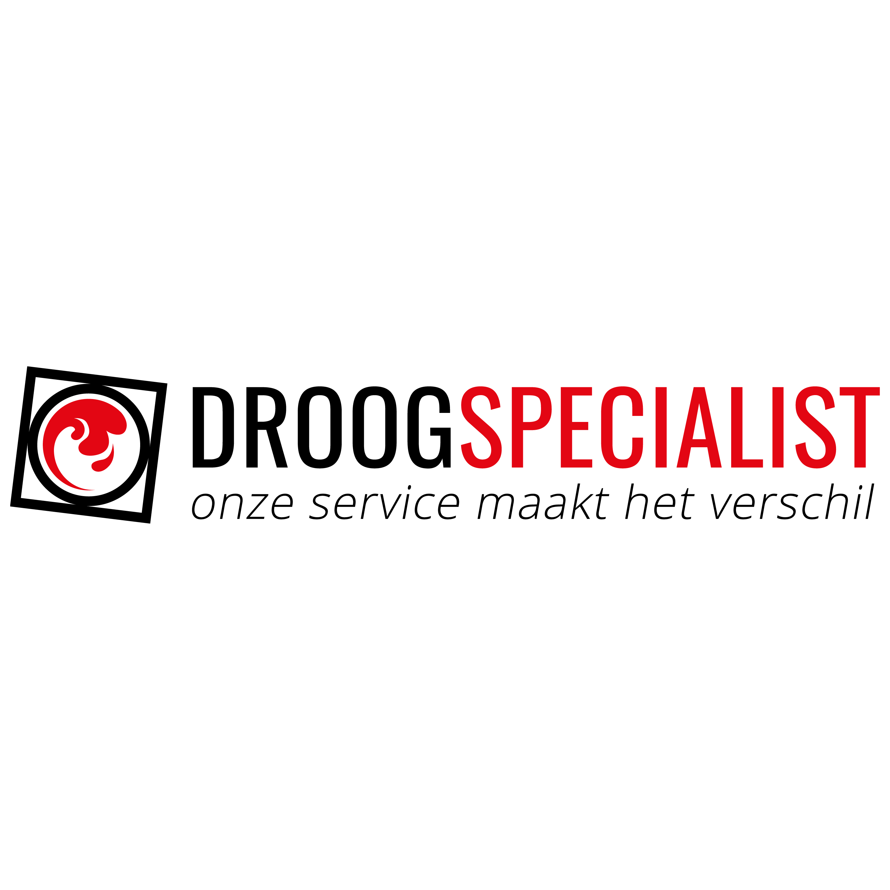 Droogspecialist Logo