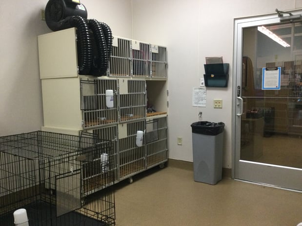 Images Petco Grooming