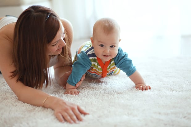 Images Barrows Carpet & Upholstery Cleaning