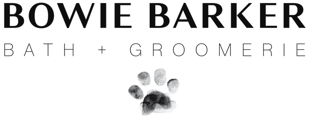 Images Bowie Barker West Hollywood