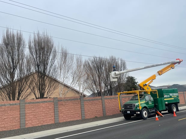 Images Arias Tree Service
