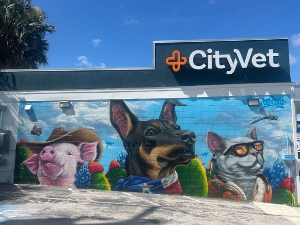 Images CityVet | Central Austin