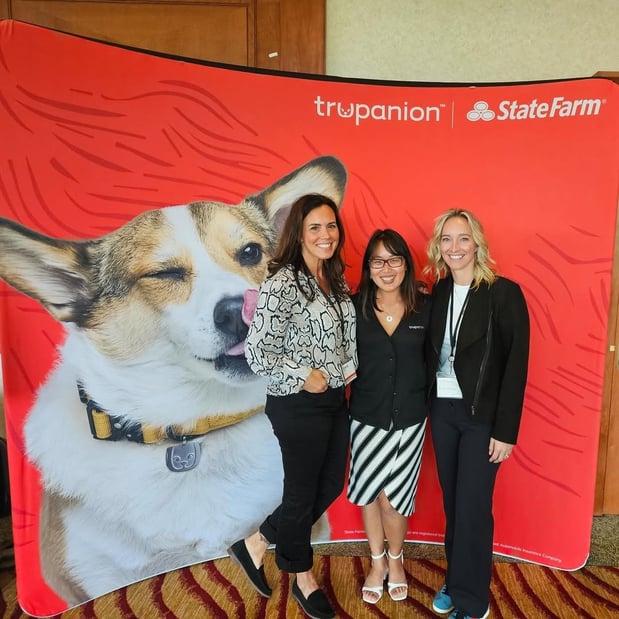 Images Stacey Allen - State Farm Insurance Agent