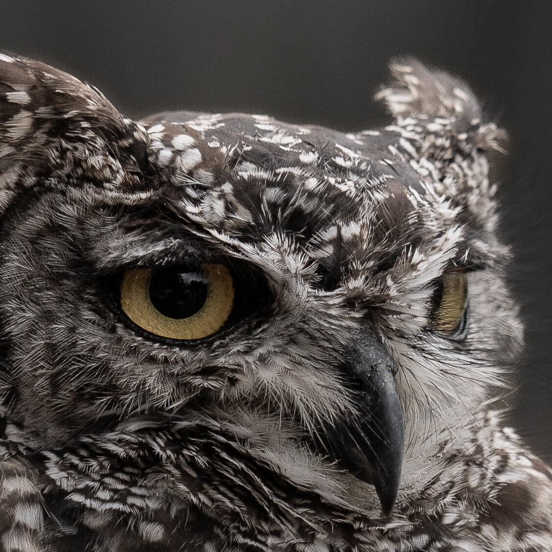 Bilder viertel9media