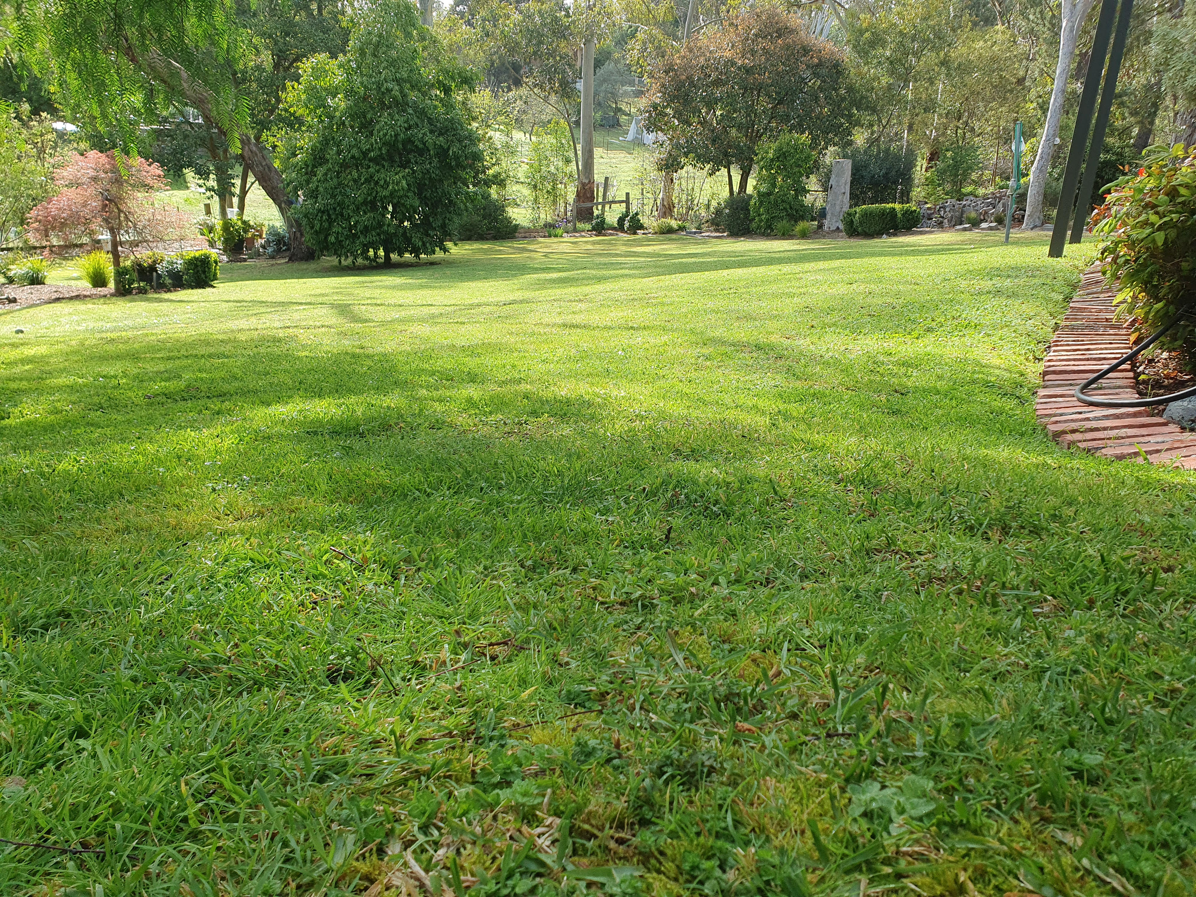 Images Dale's Property Maintenance (DPM)