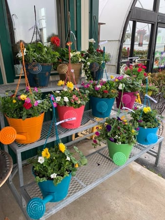Images S & H Nursery