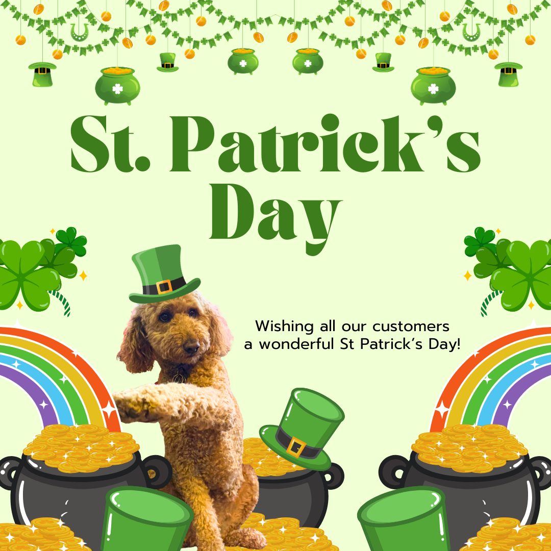 Happy Saint Patrick&rsquo;s Day from Jon Lakamp State Farm. ????

Olive may be searching for the gold, but we hope your day is full of a little luck and a lot of smiles.