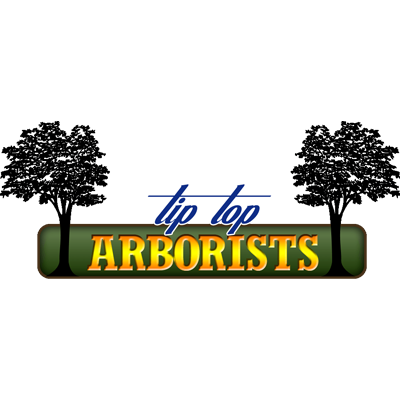 Tip Top Arborists - Lancaster, CA 93534 - (661)942-5501 | ShowMeLocal.com