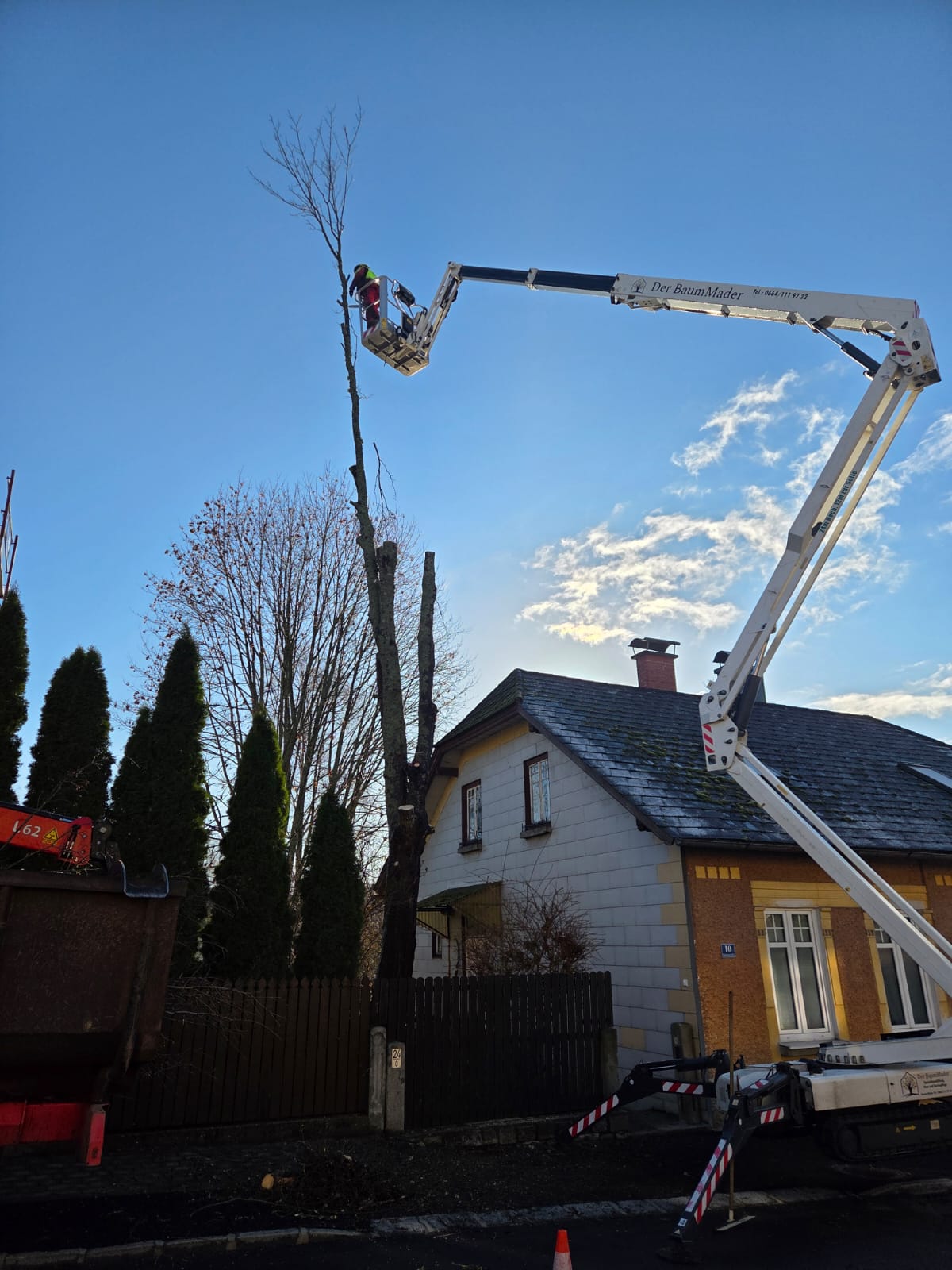 Bild 7 von Roman Mader Der Baummader