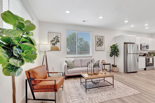 Images Arrive Longmont