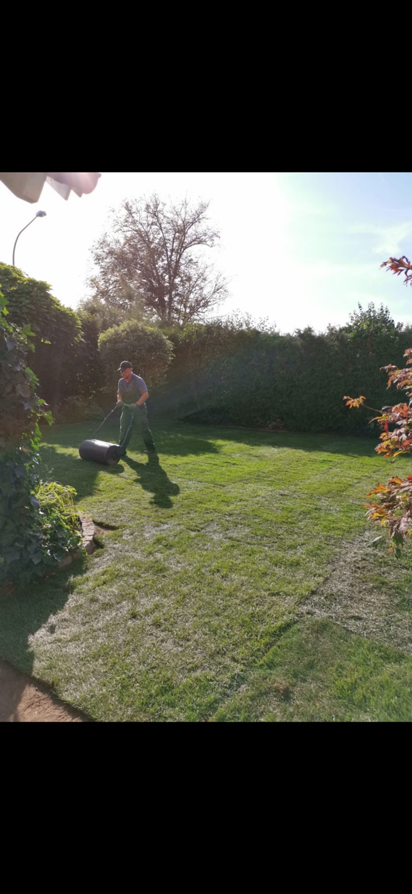 Garten und Forstbetrieb Feibig, An der Unteren Zell 3 in Regenstauf