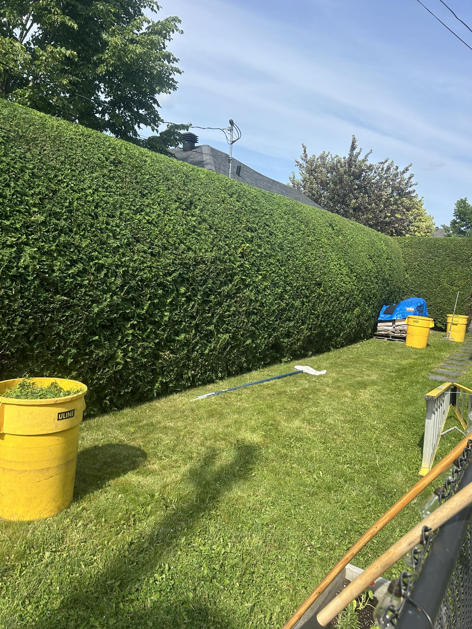 Images Taille de haie EB - Entretien de haie Saint-Hyacinthe