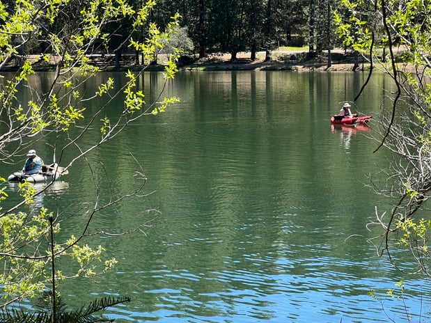 Images The Cozy Cub - Cabin in Arnold