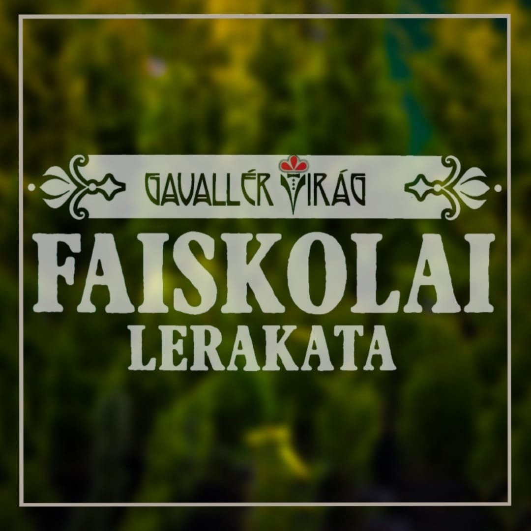 Gavallér Virág Faiskolai Lerakata Logo