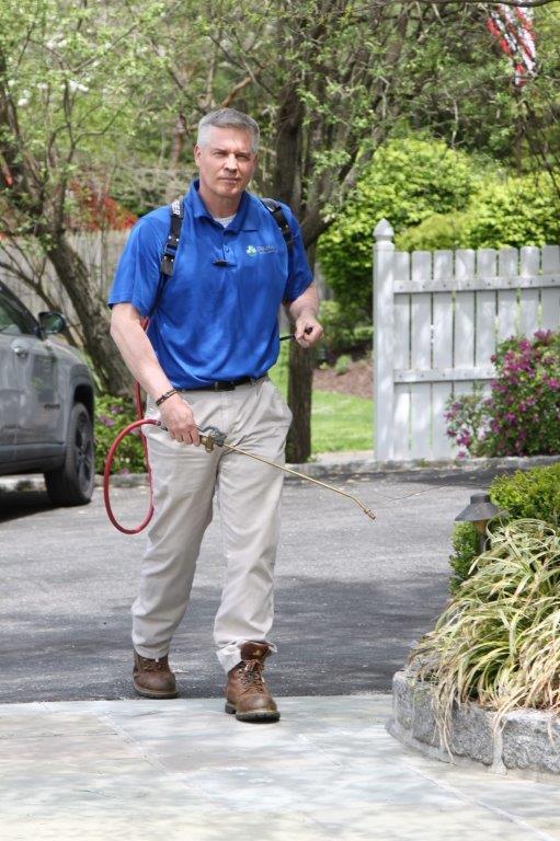 Images JP McHale Pest Management