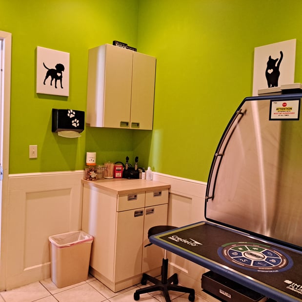Images Vetco Total Care - SouthPaw Animal Clinic