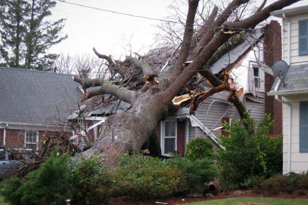 Images First Response Restoration, Water Damage Minneapolis Specialist