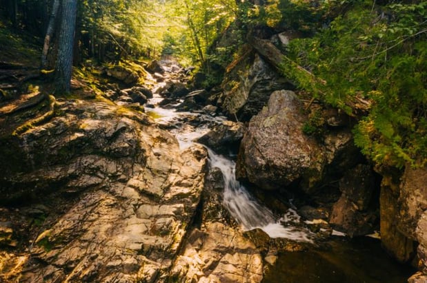 Images Staybridge Suites Marquette by IHG