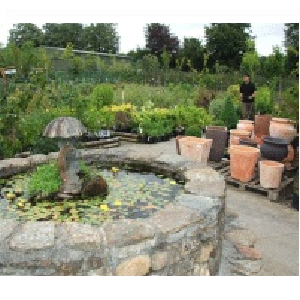Best 5 Garden Centres In Aughrim Last