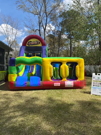 Images Palm Tree Party Rentals