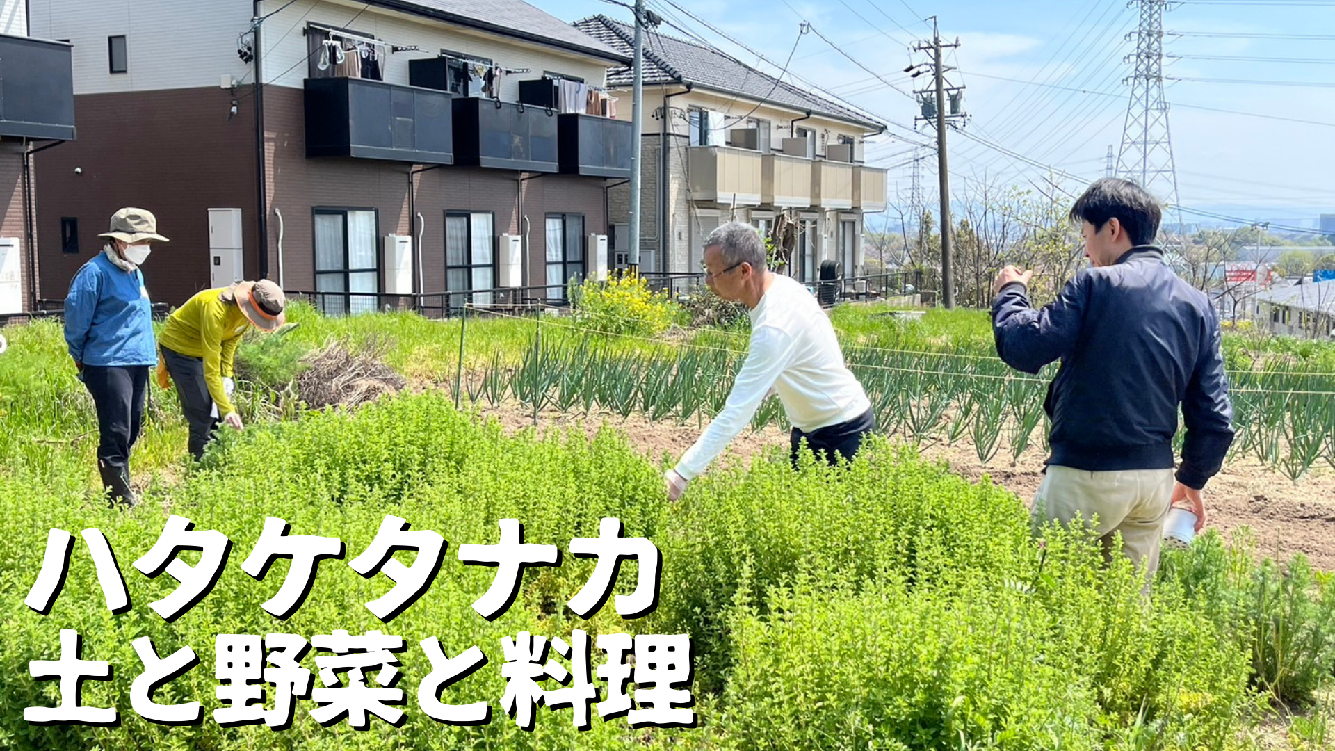 Images ハタケタナカ 土と野菜と料理