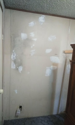 Aragon's Pro Painting Image